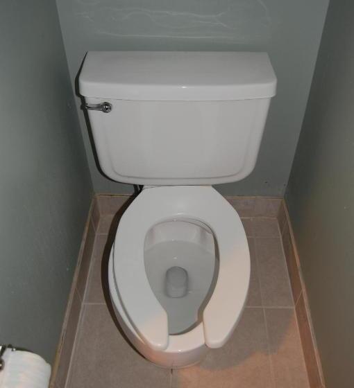 Отель Windsor Inn