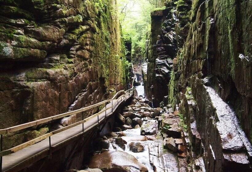 호텔 Woodwards White Mountain Resort Bw Signature Collection