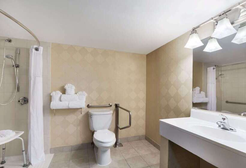 בית מלון כפרי Wyndham Garden Dallas North