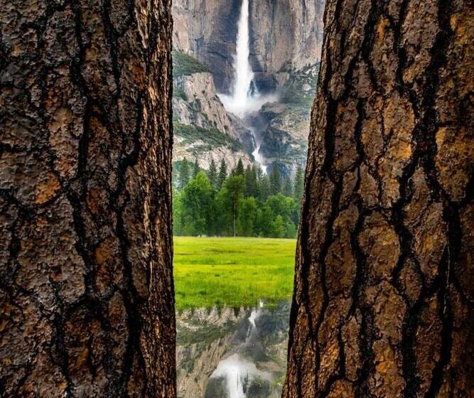 Отель Yosemite Valley Lodge