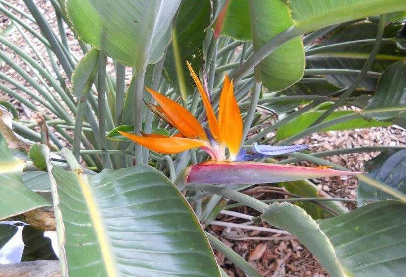 Legacy Harbour Hotel & Suites