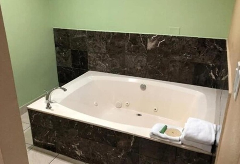 모텔 American Inn & Suites Lax