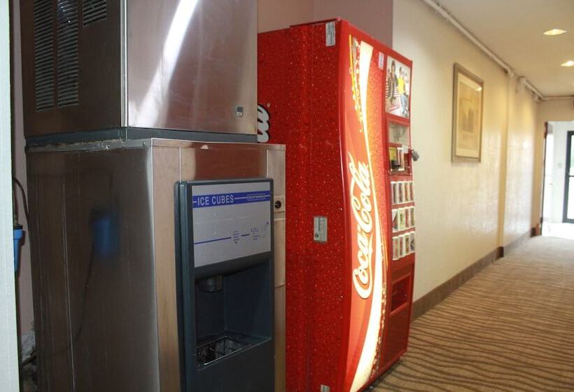 فندق على الطريق Royal Inn