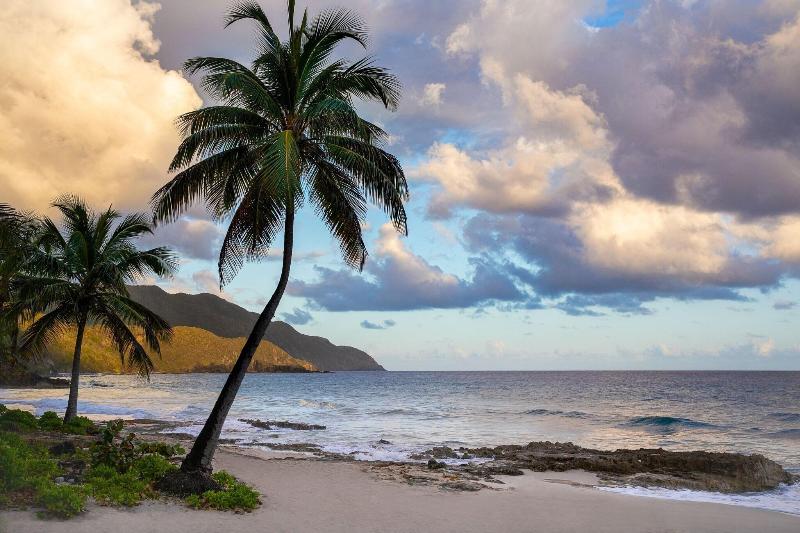 Carambola Beach Resort St. Croix, Us Virgin Islands