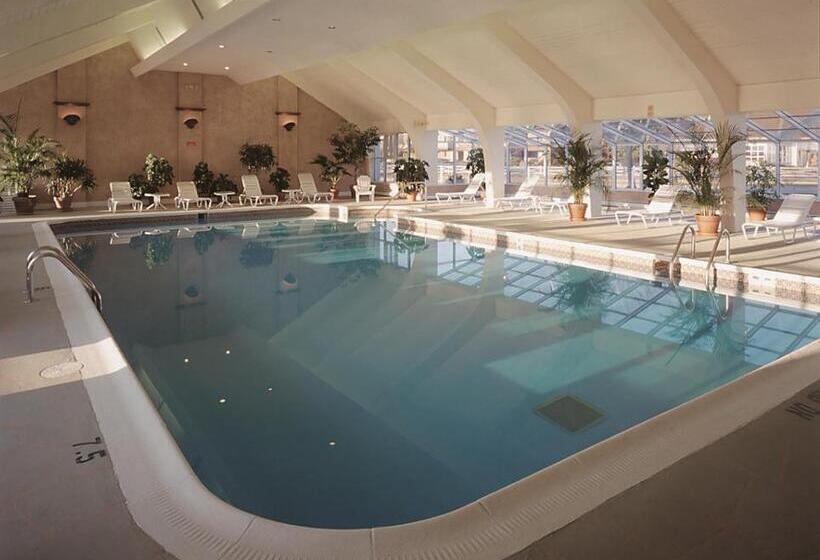 渡假胜地  The Newport Harbor Hotel & Marina