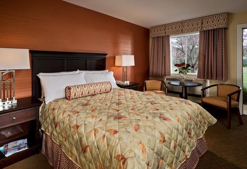 Wellfleet Motel And Lodge