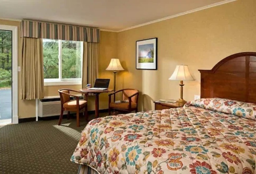 Wellfleet Motel And Lodge