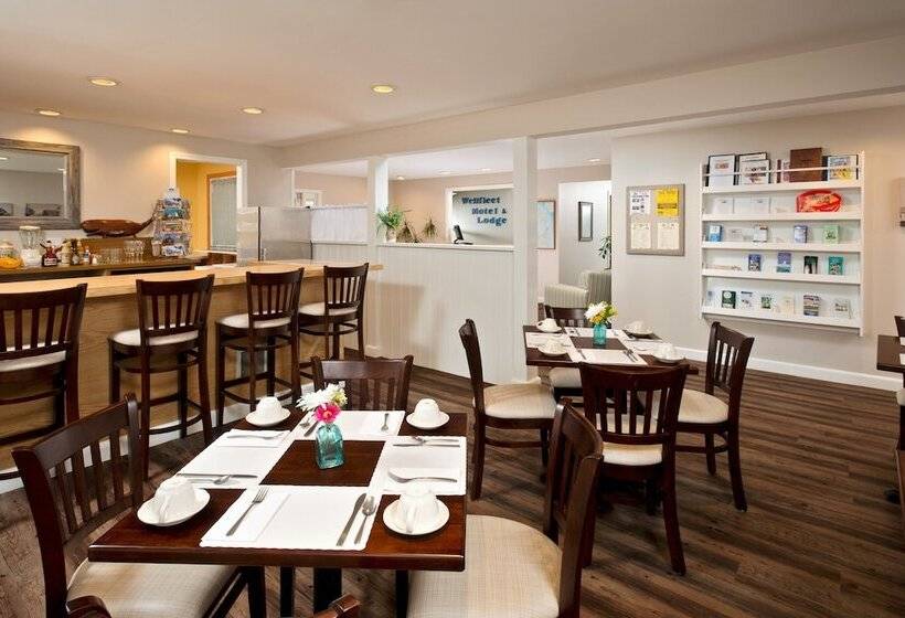 Wellfleet Motel And Lodge