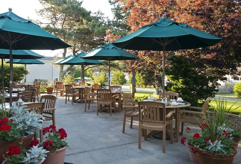 Wellfleet Motel And Lodge