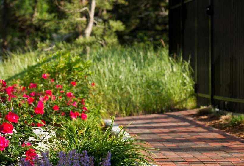 Wellfleet Motel And Lodge