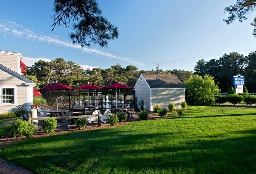 Wellfleet Motel And Lodge