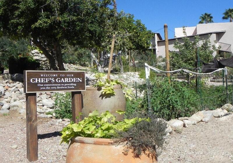 Westward Look Wyndham Grand Resort & Spa