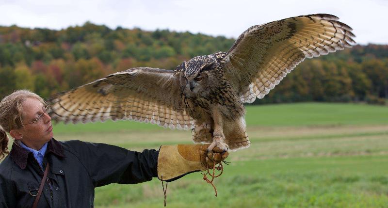 Woodstock Inn & Resort