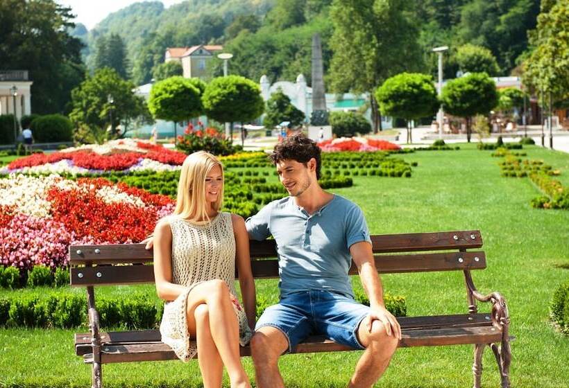 Grand Hotel Sava Superior