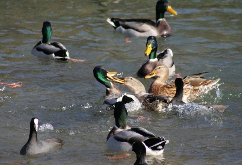 هتل Alma & Castle Hrib