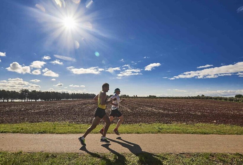 호텔 Aminess Maestral