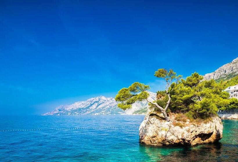 فندق Bluesun Berulia