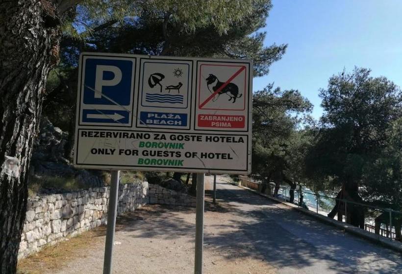 فندق Borovnik
