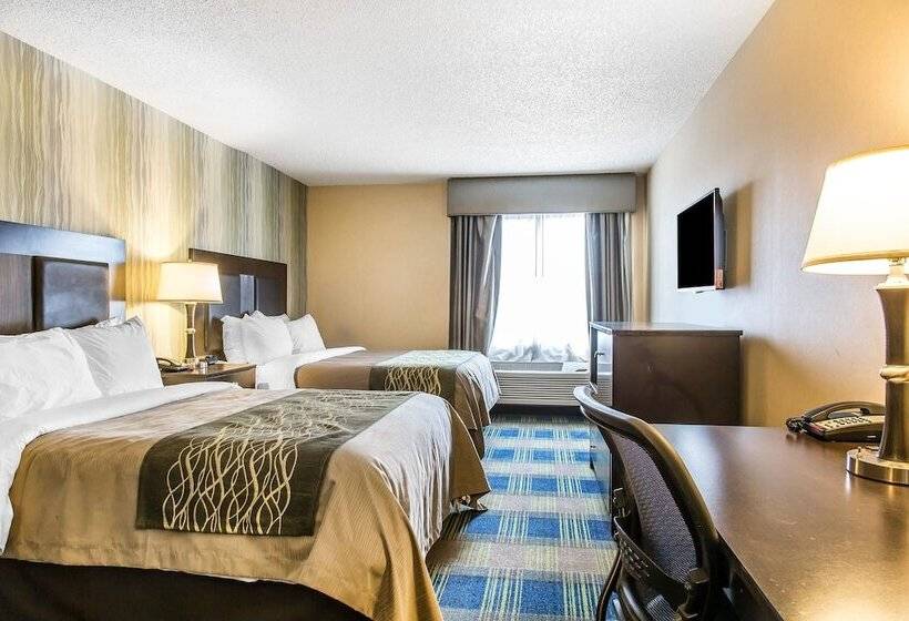 فندق Comfort Inn & Suites