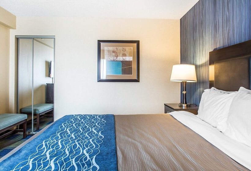 فندق Comfort Inn & Suites