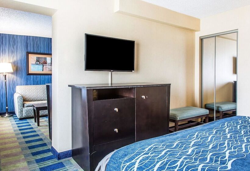 فندق Comfort Inn & Suites