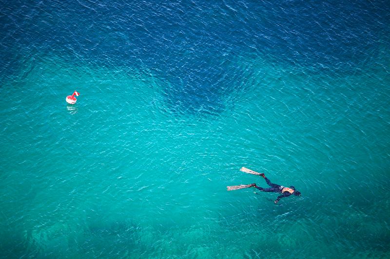 Отель Dubrovnik Palace