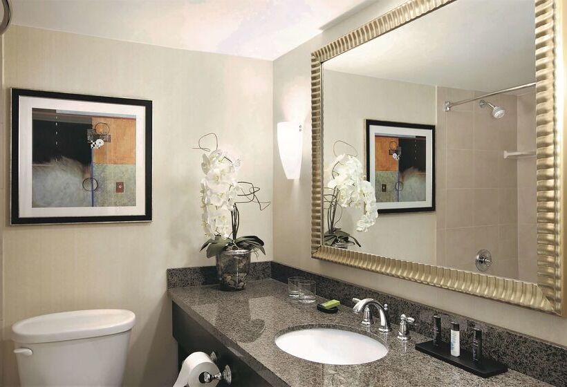 Embassy Suites Hotel Denver Tech Center