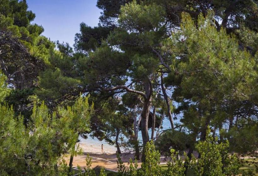 호텔 Eva Sunny  & Residence By Valamar