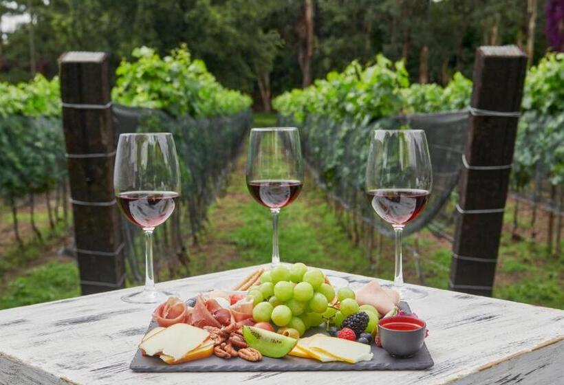 فندق Fiesta Americana Hacienda Galindo Resort & Spa