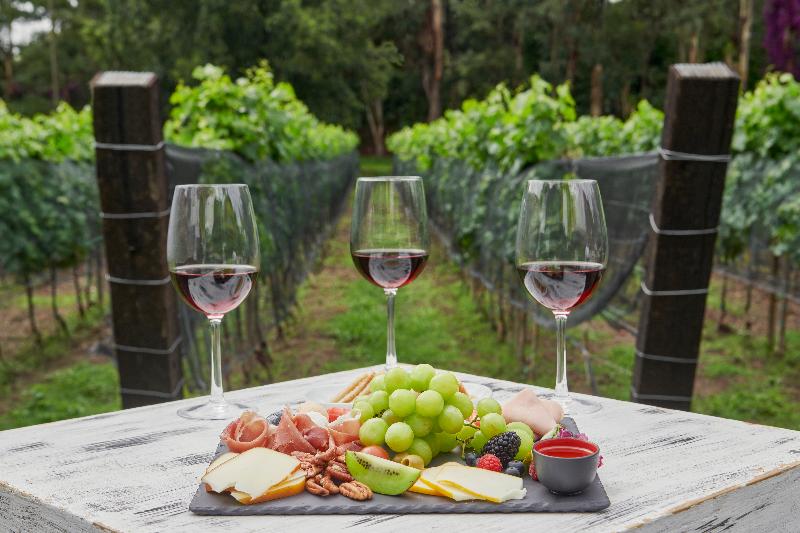 فندق Fiesta Americana Hacienda Galindo Resort & Spa