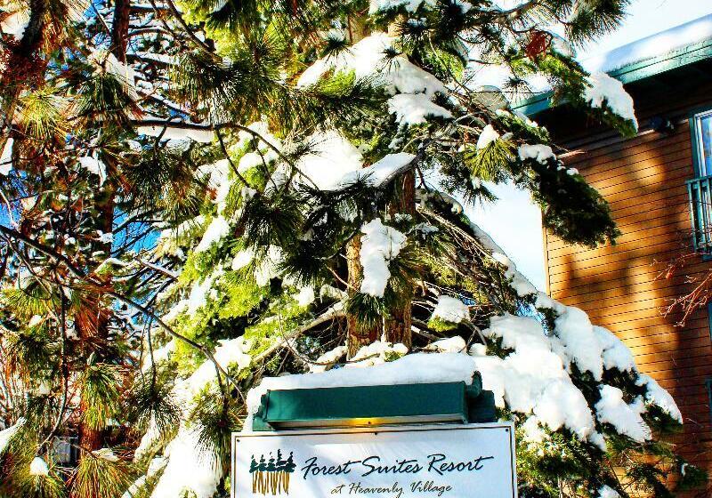 酒店 Forest Suites Resort At The Heavenly Village