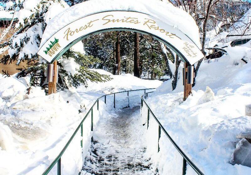 酒店 Forest Suites Resort At The Heavenly Village