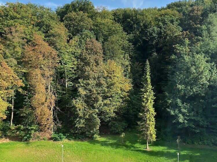 Grand Hotel Donat Superior & Wellness Center