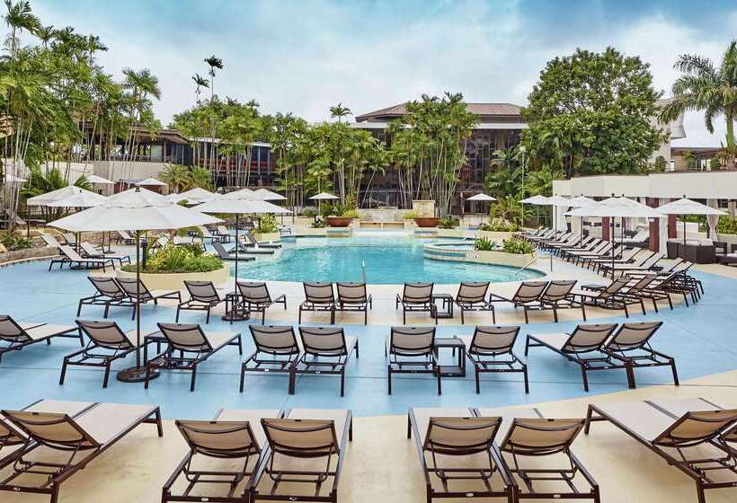 Отель Hilton Trinidad & Conference Centre