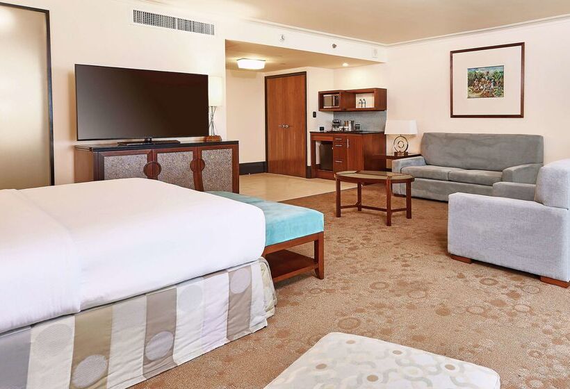 Отель Hilton Trinidad & Conference Centre