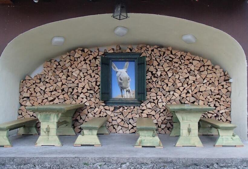 هتل Hostel Pod Voglom