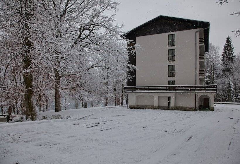 هتل Hostel Pod Voglom