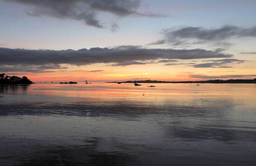 ホテル Hôtel Aux Tamaris Vue Mer