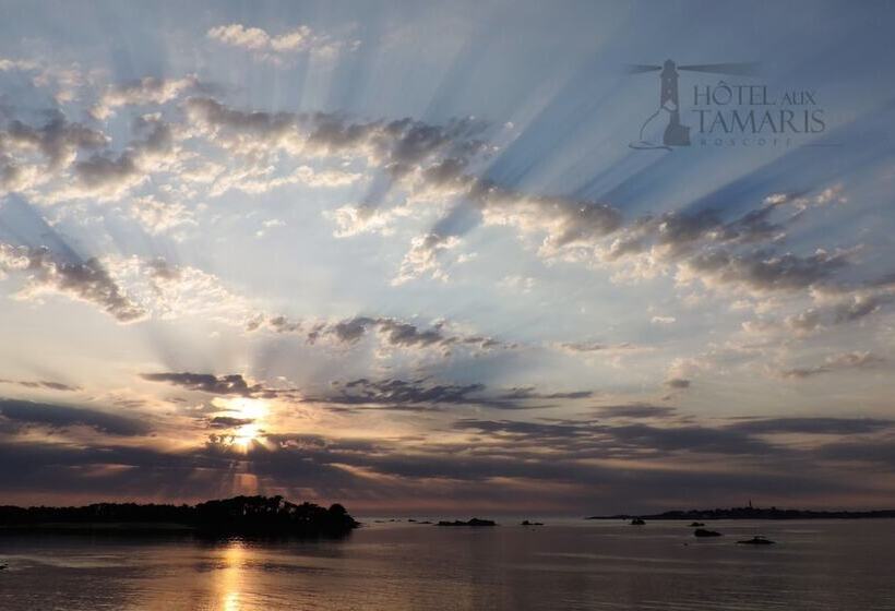 ホテル Hôtel Aux Tamaris Vue Mer