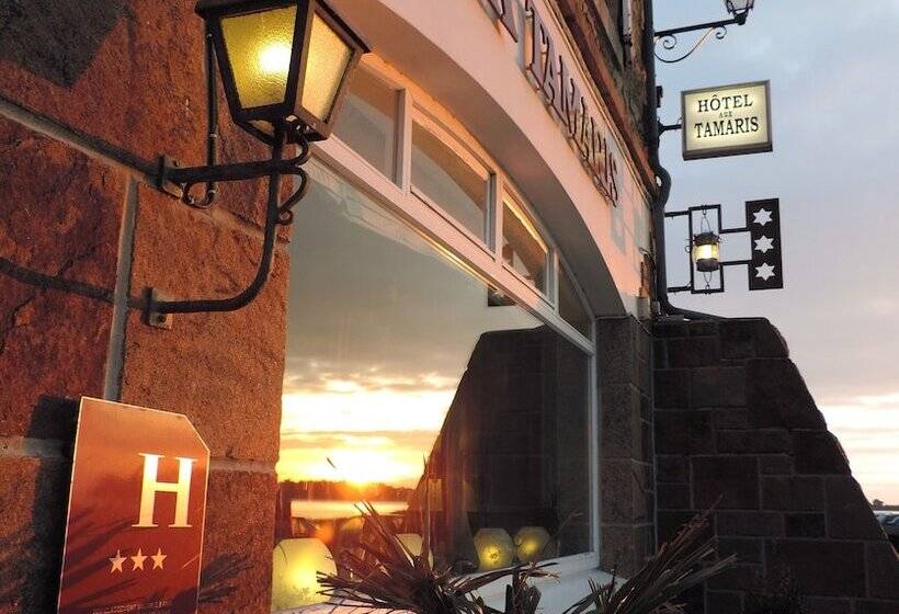 ホテル Hôtel Aux Tamaris Vue Mer