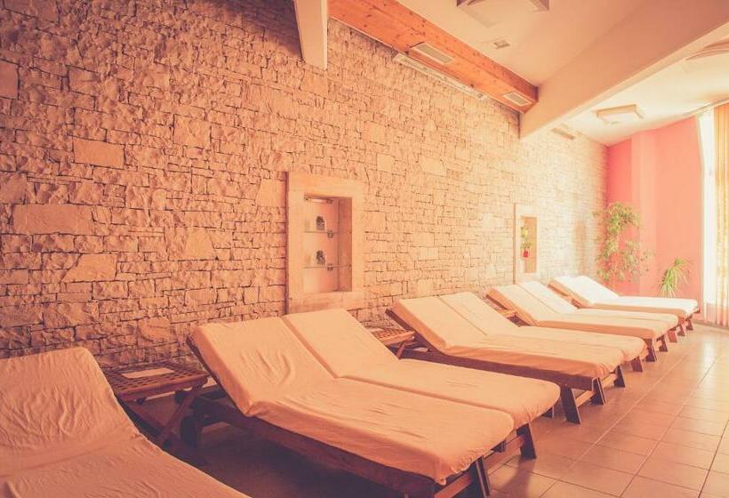 酒店 Istarske Toplice Health Spa Resort   Mirna