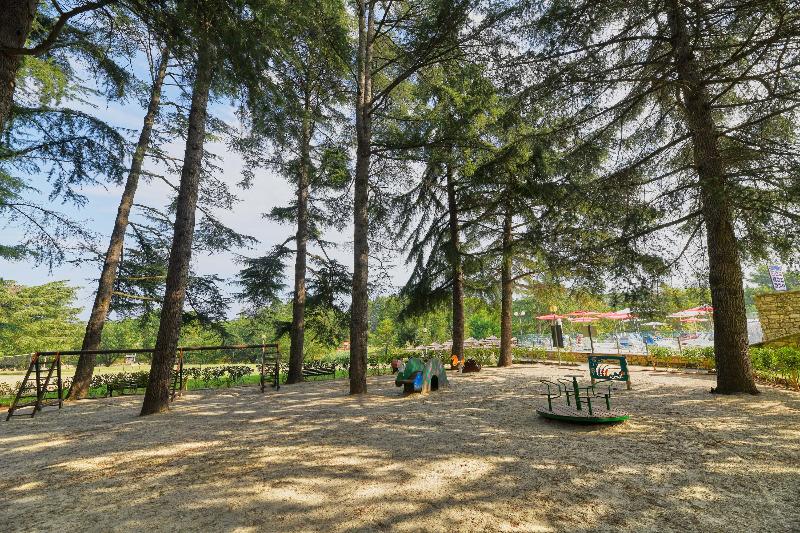 Отель Mediteran Plava Laguna