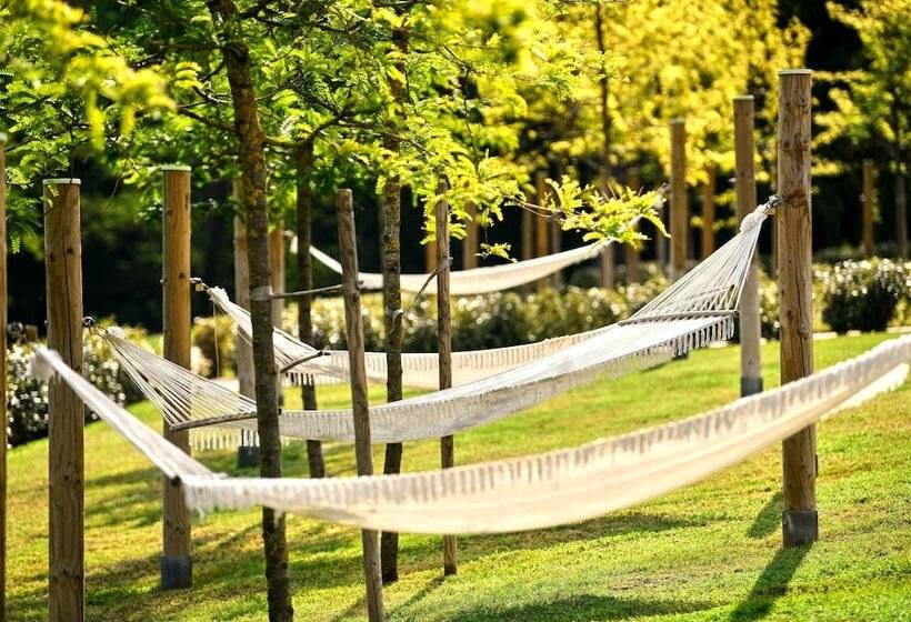 Отель Mediteran Plava Laguna