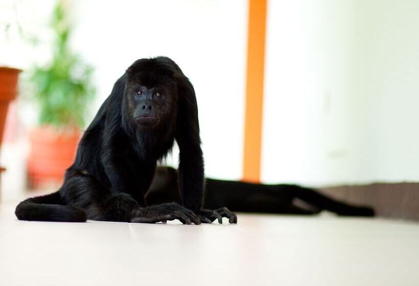 בית מלון כפרי Plaza Palenque