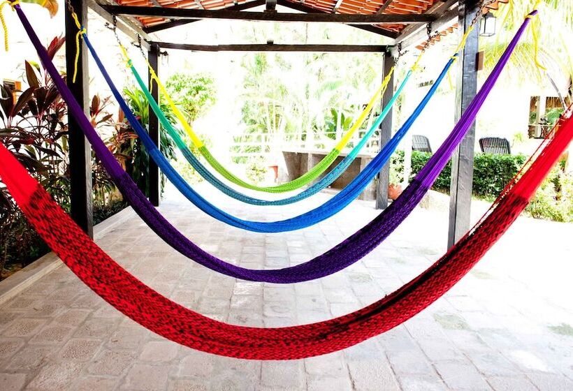 酒店 Plaza Palenque