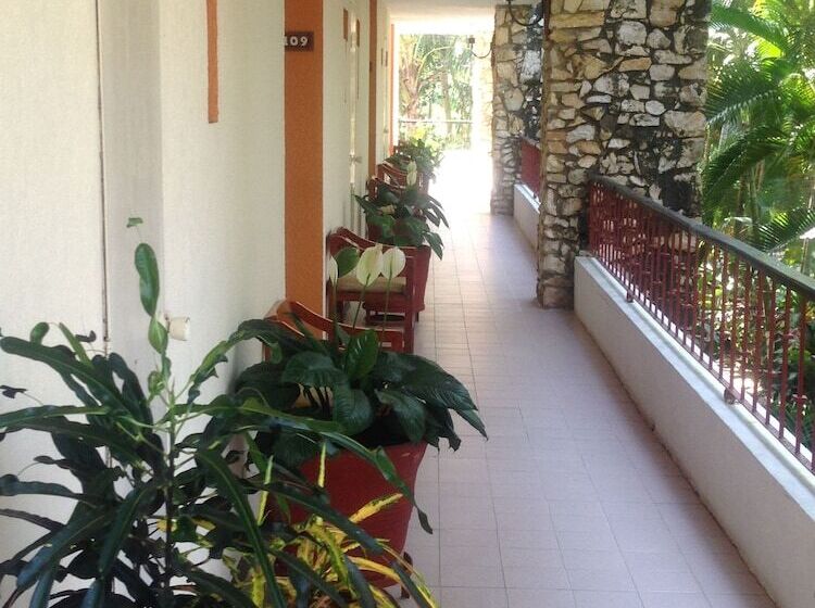 酒店 Plaza Palenque