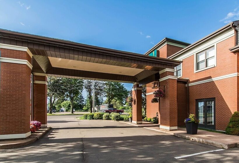 فندق Quality Inn & Suites Garden Of The Gulf