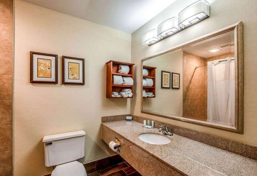 فندق Country Inn & Suites By Radisson, Muskegon, Mi