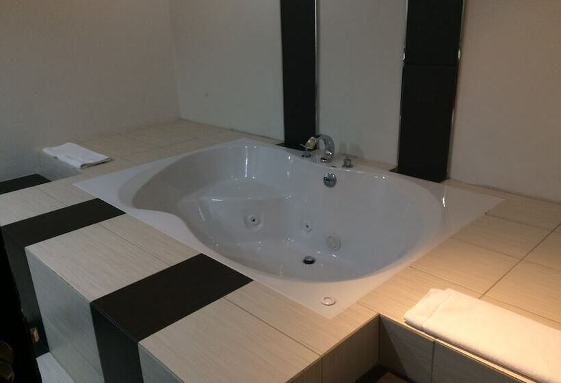 Radisson Hotel & Convention Center Toluca