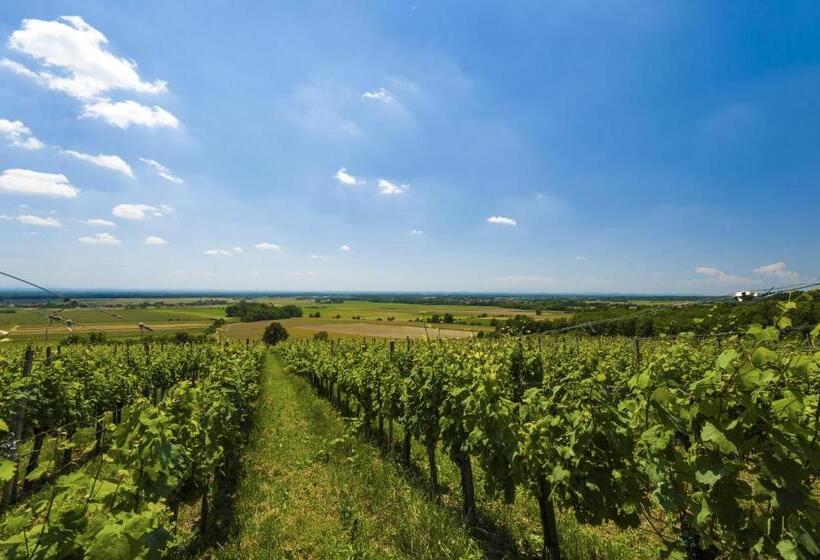 Termal   Terme 3000   Sava Hotels & Resorts